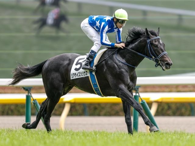 【POG2025-2026】レベルの高いレースは？ タイム指数ランキング/2歳牡馬・芝