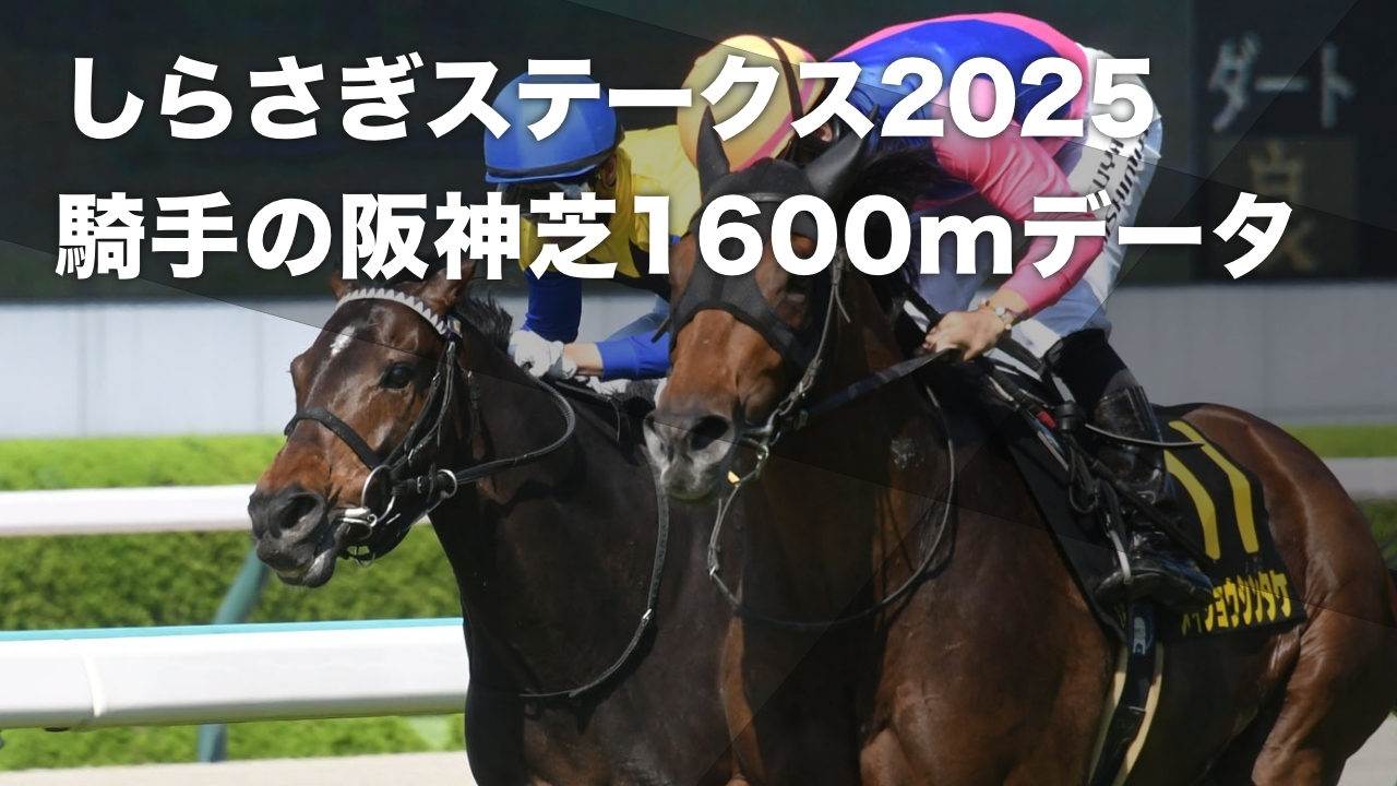 【しらさぎステークス2025予想】過去10年のデータから見る 阪神芝1600mにおける騎手の勝率・連対率・複勝率・着別度数など最新情報