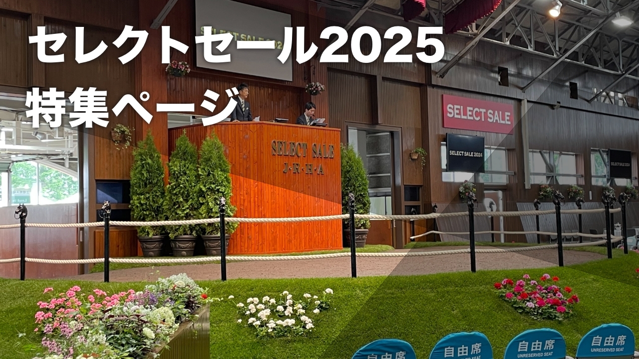 【セレクトセール2025特集】1日目・2日目の上場馬一覧・歴代高額馬の一覧など最新情報