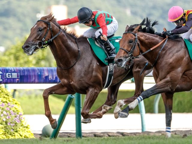【七夕賞 2025結果情報】重賞初挑戦で逃げ切りV コスモフリーゲンが七夕賞制す