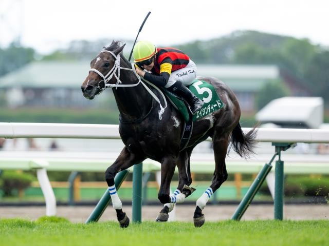 【POG2025-2026】レベルの高いレースは？ タイム指数ランキング/2歳牡馬・芝