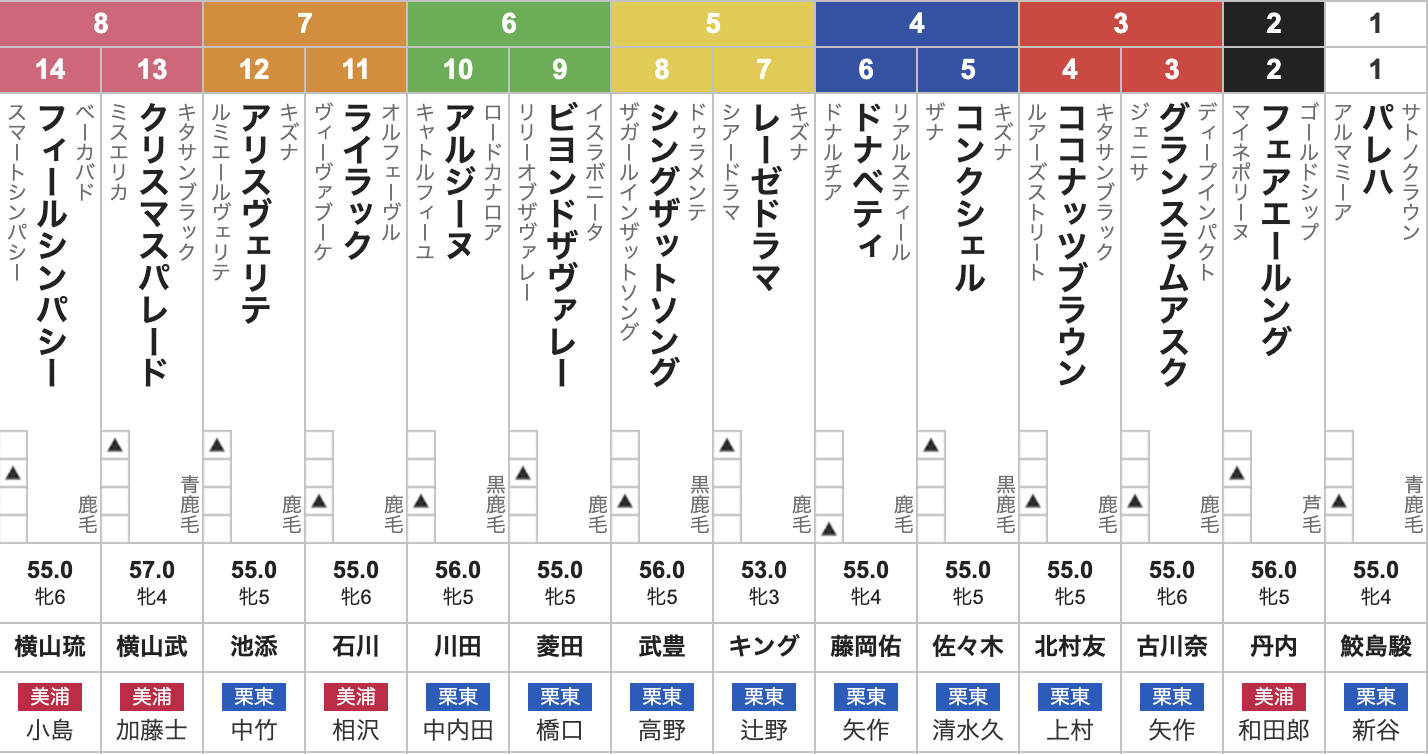 【クイーンステークス2025枠順発表】全14頭 アルジーヌ6枠10番・クリスマスパレード8枠13番・武豊シングザットソング5枠8番など最新情報【8月3日(日)15時25分】
