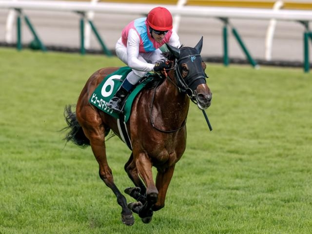 【アイビスサマーダッシュ 2025結果情報】ピューロマジックがレコードタイでV 圧巻のパフォーマンスで重賞3勝目を飾る