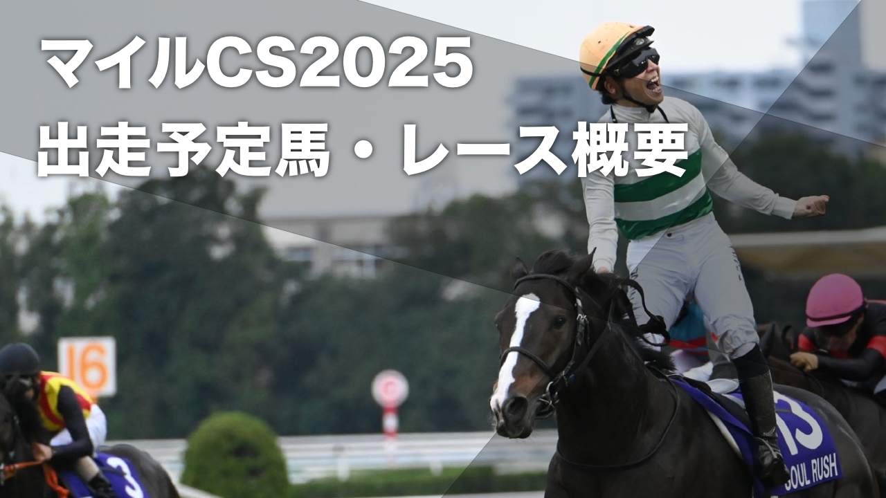 2024年マイルチャンピオンシップを勝利したソウルラッシュ(c)netkeiba.com