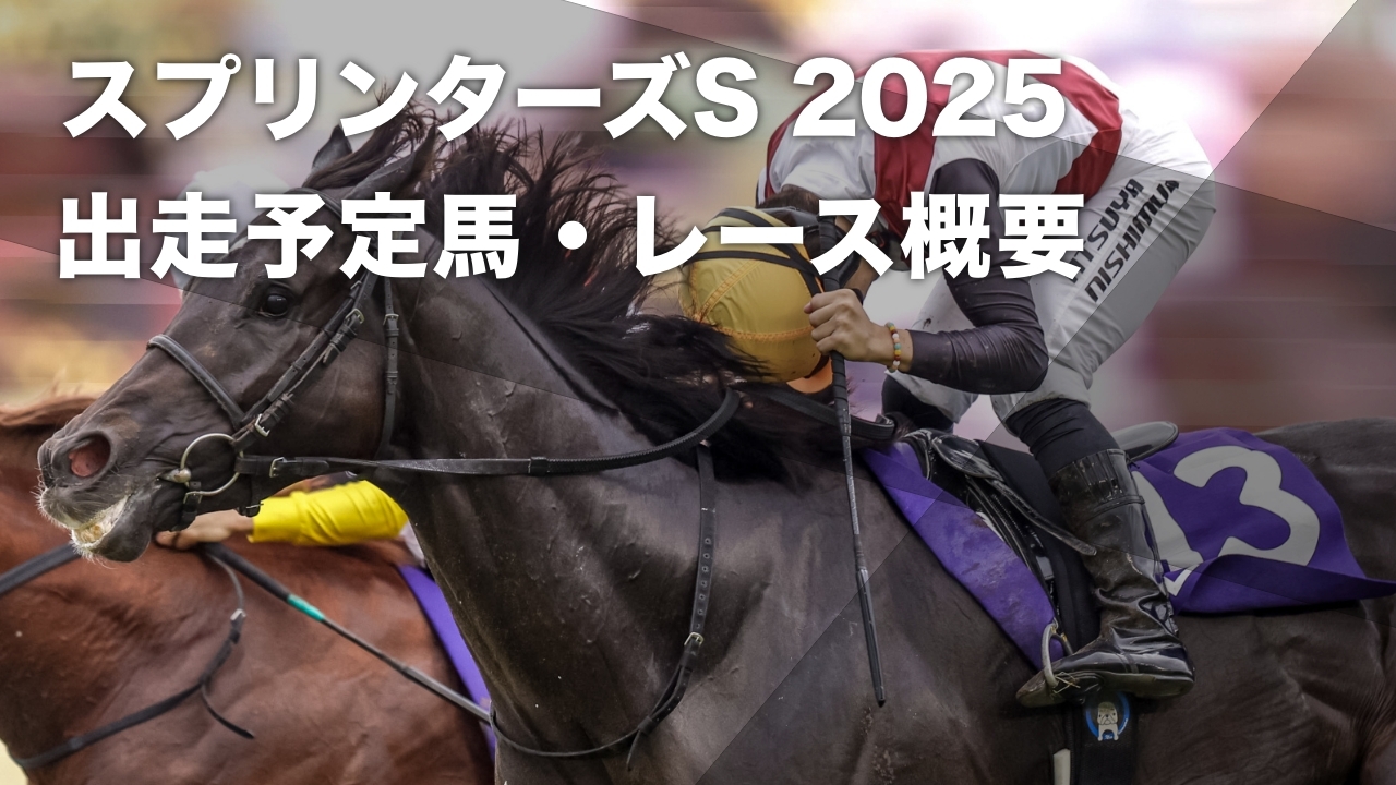 2024年のスプリンターズステークスを制したルガル(撮影：下野雄規)