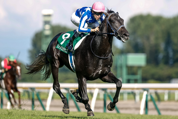 【新潟2歳ステークス 2025結果情報】リアライズシリウスが人気に応え重賞初制覇 4馬身差快勝で秋へ向け弾みをつける