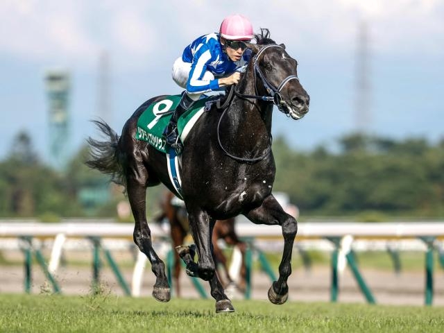 【POG2025-2026】レベルの高いレースは？ タイム指数ランキング/2歳牡馬・芝