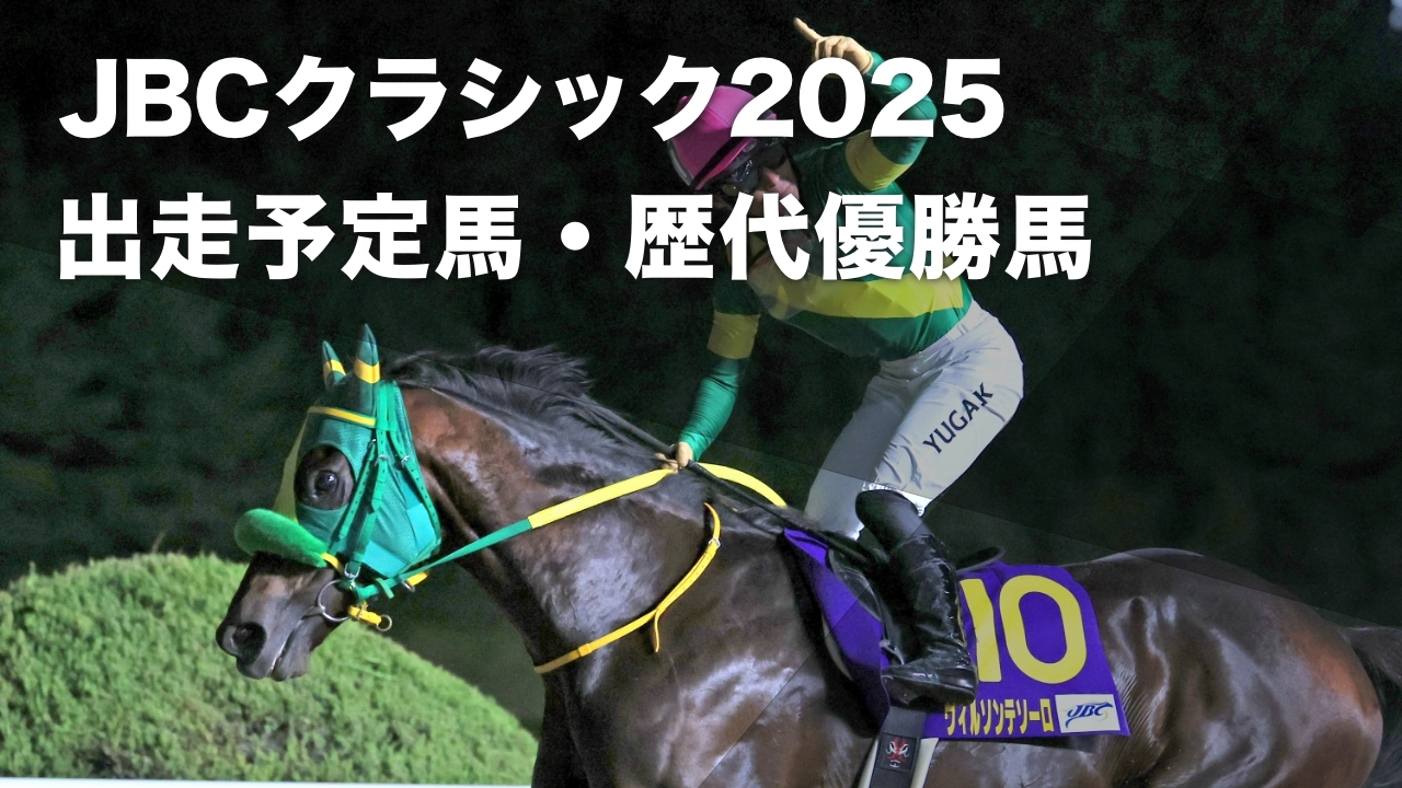 2024年のJBCクラシック優勝馬ウィルソンテソーロ(撮影：稲葉訓也)