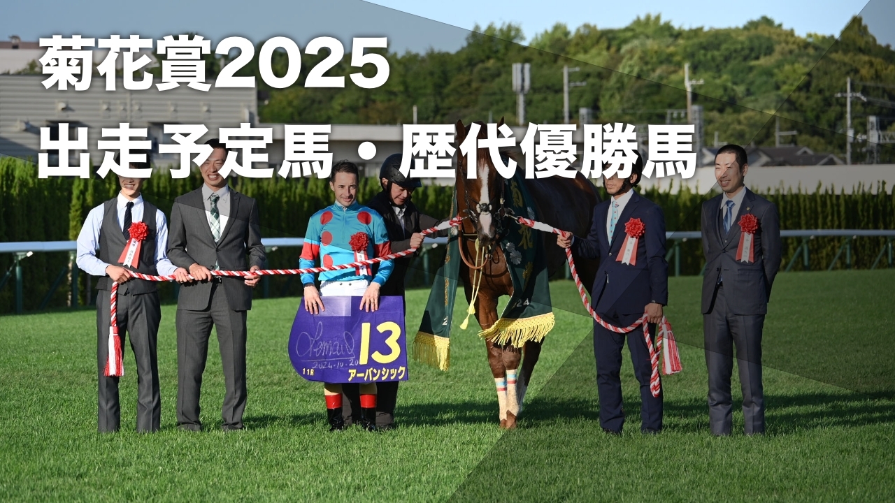 【菊花賞2025】出走予定馬・日程・レース概要・歴代優勝馬など最新情報【10月26日15時40分】