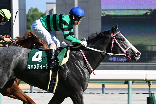 【中京2歳ステークス 2025結果情報】キャンディード重賞初勝利でレコード勝ち