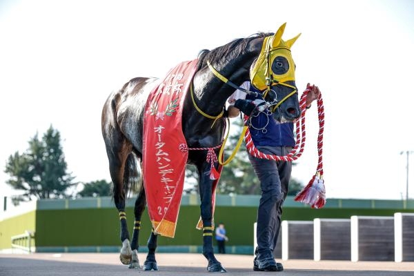 【京成杯オータムハンデ 2025結果情報】内から差し切りホウオウラスカーズが重賞初V！13番人気の伏兵が評価を覆す