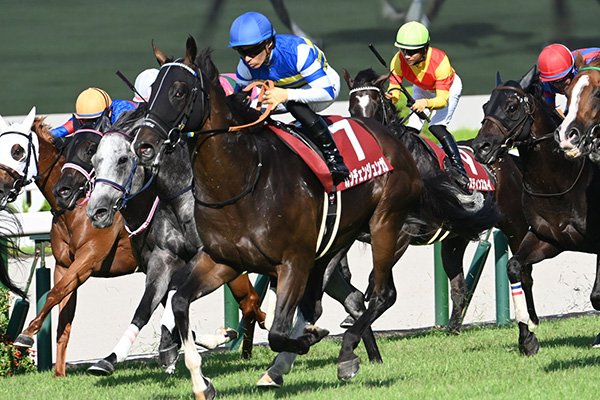 【セントウルステークス 2025結果情報】カンチェンジュンガが直線で一気に差し切り重賞2勝目
