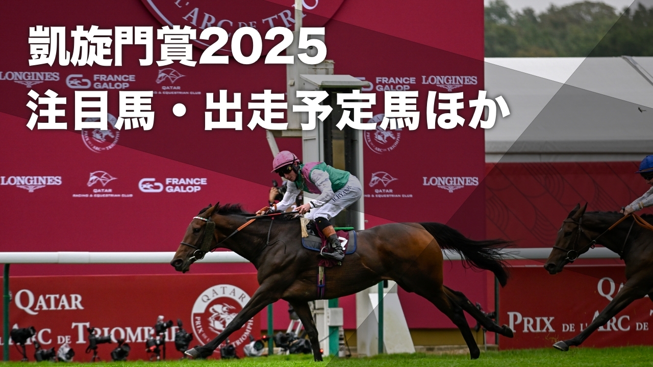 2024年の凱旋門賞馬ブルーストッキング(撮影：高橋正和)
