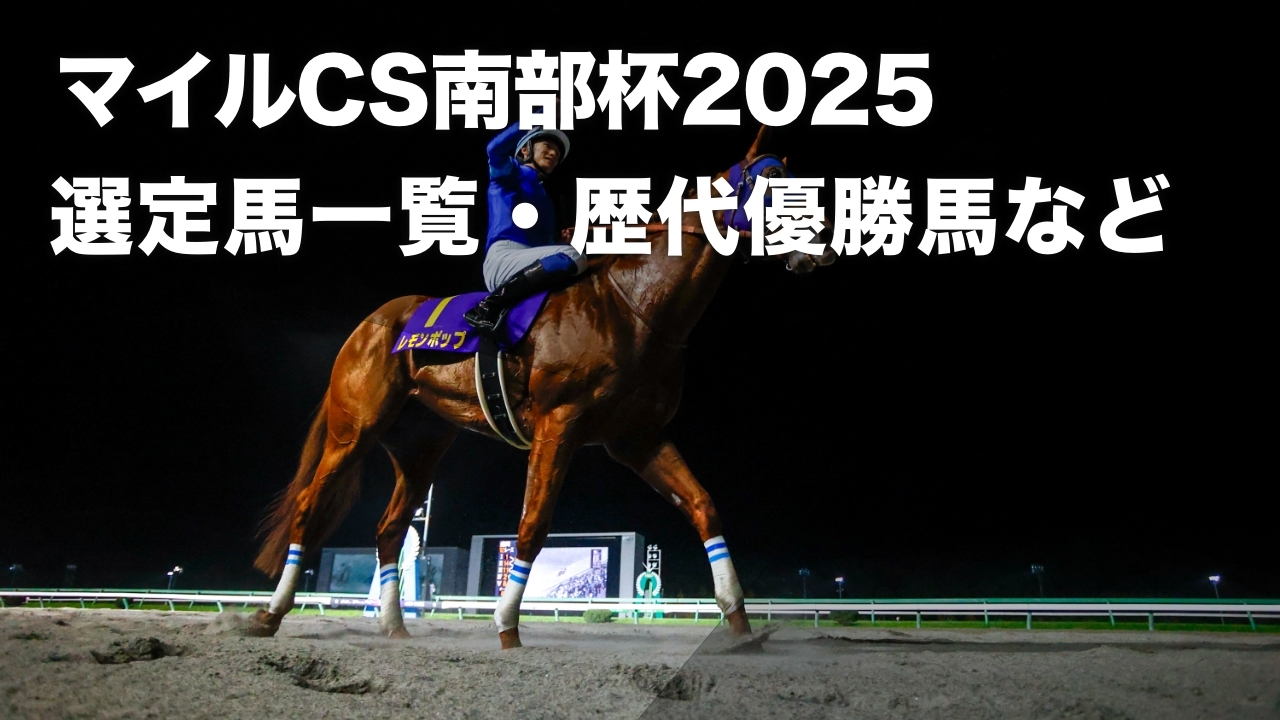 2024年のマイルCS南部杯を勝利し、連覇を達成したレモンポップ(撮影：高橋正和)
