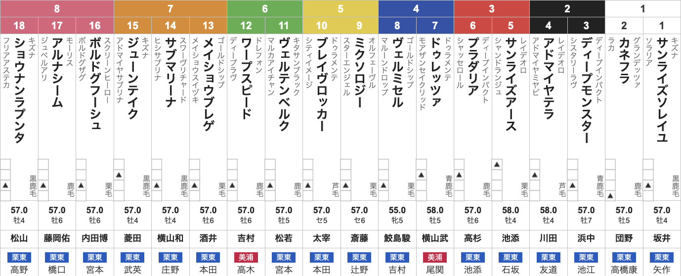 【京都大賞典2025枠順発表】全18頭 アドマイヤテラ2枠4番・ショウナンラプンタ大外8枠18番・サンライズアース3枠5番など最新情報【10月5日(日)15時30分】