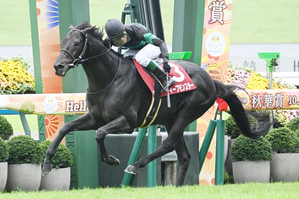 【京都大賞典 2025結果情報】7歳ディープモンスターが悲願の重賞初制覇 充実の秋へ好発進