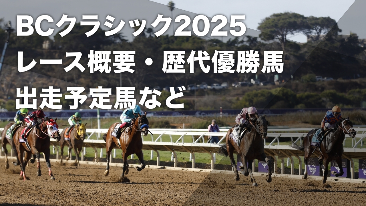 2024年BCクラシックのゴール前の様子(撮影：高橋正和)