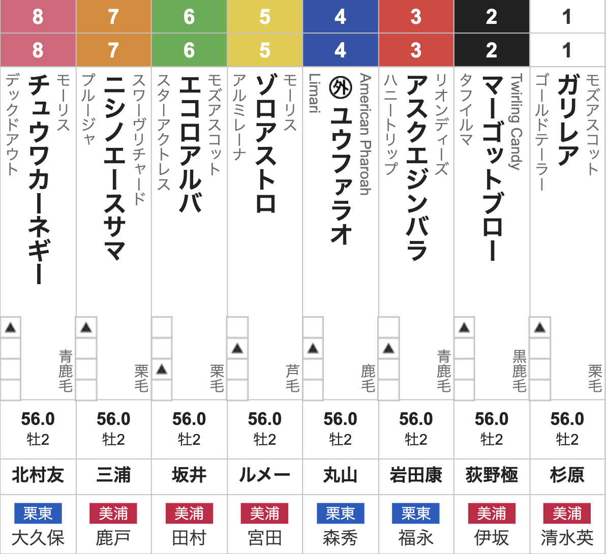 サウジアラビアロイヤルカップ(10月11日(土)15:45発走・2歳・G3・東京競馬場・芝1600m・8頭)枠順