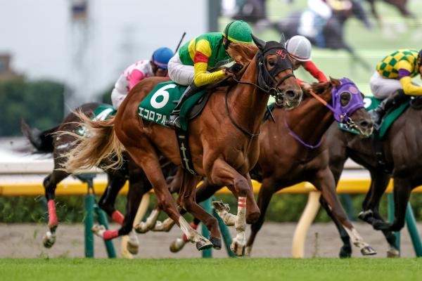 サウジアラビアRCを制したエコロアルバ(撮影：下野雄規))