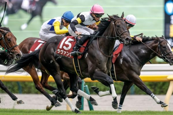 アイルランドTを制したラヴァンダ(撮影：下野雄規)