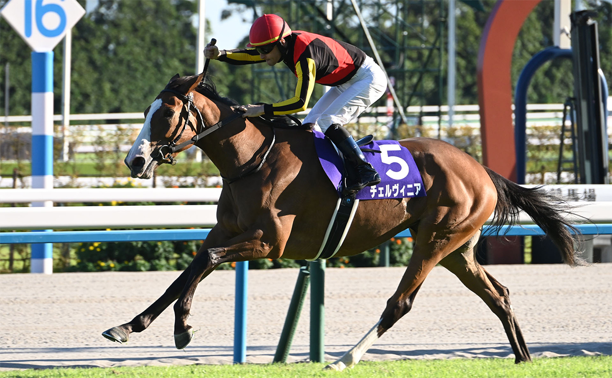 2024年の秋華賞優勝馬チェルヴィニア(c)netkeiba