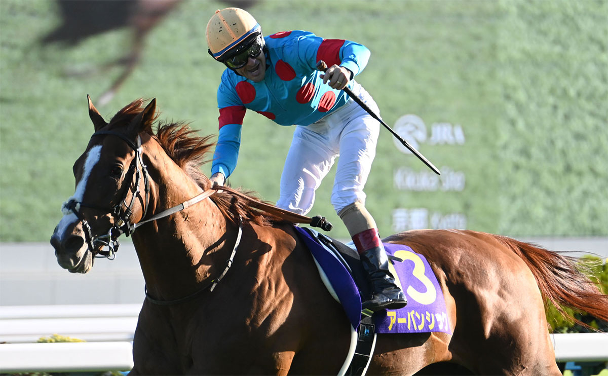 2024年の菊花賞優勝馬アーバンシック(c)netkeiba