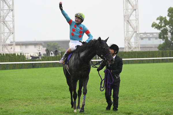 菊花賞 歴代優勝馬・騎手一覧（過去G1結果）