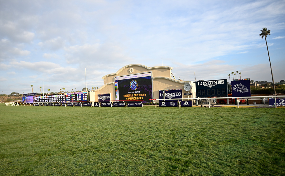 ブリーダーズカップデーの各競走に登録している日本馬の一覧 フォーエバーヤング・インビンシブルパパなど最新情報