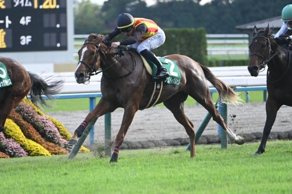 ファンタジーSを制したフェスティバルヒル(c)netkeiba
