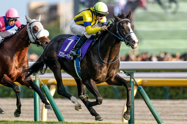 【天皇賞(秋) 2025結果情報】3歳マスカレードボールが秋の盾制す ルメール騎手は3週連続GI制覇