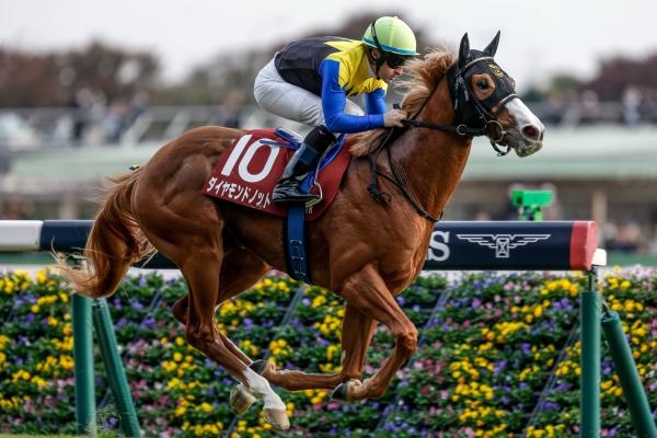 京王杯2歳Sを制したダイヤモンドノット(撮影：下野雄規)