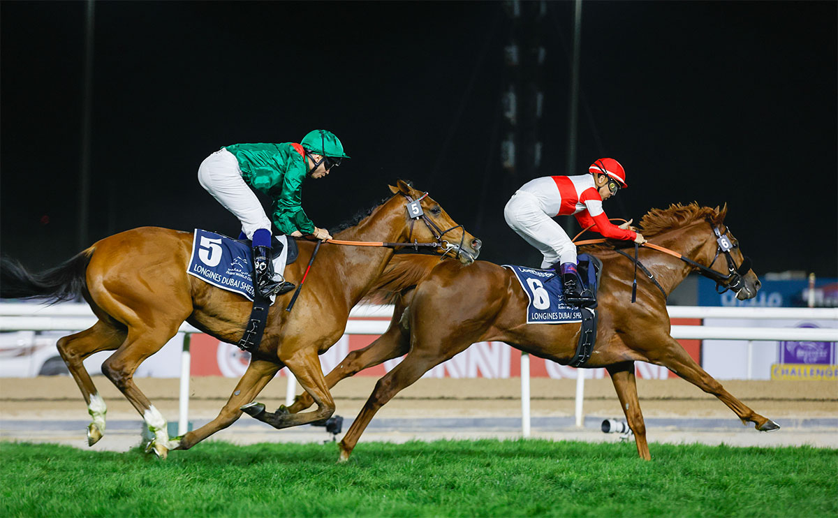 カランダガン(左)、ダノンデサイル(右)は今年の報奨金対象馬(撮影：高橋正和)