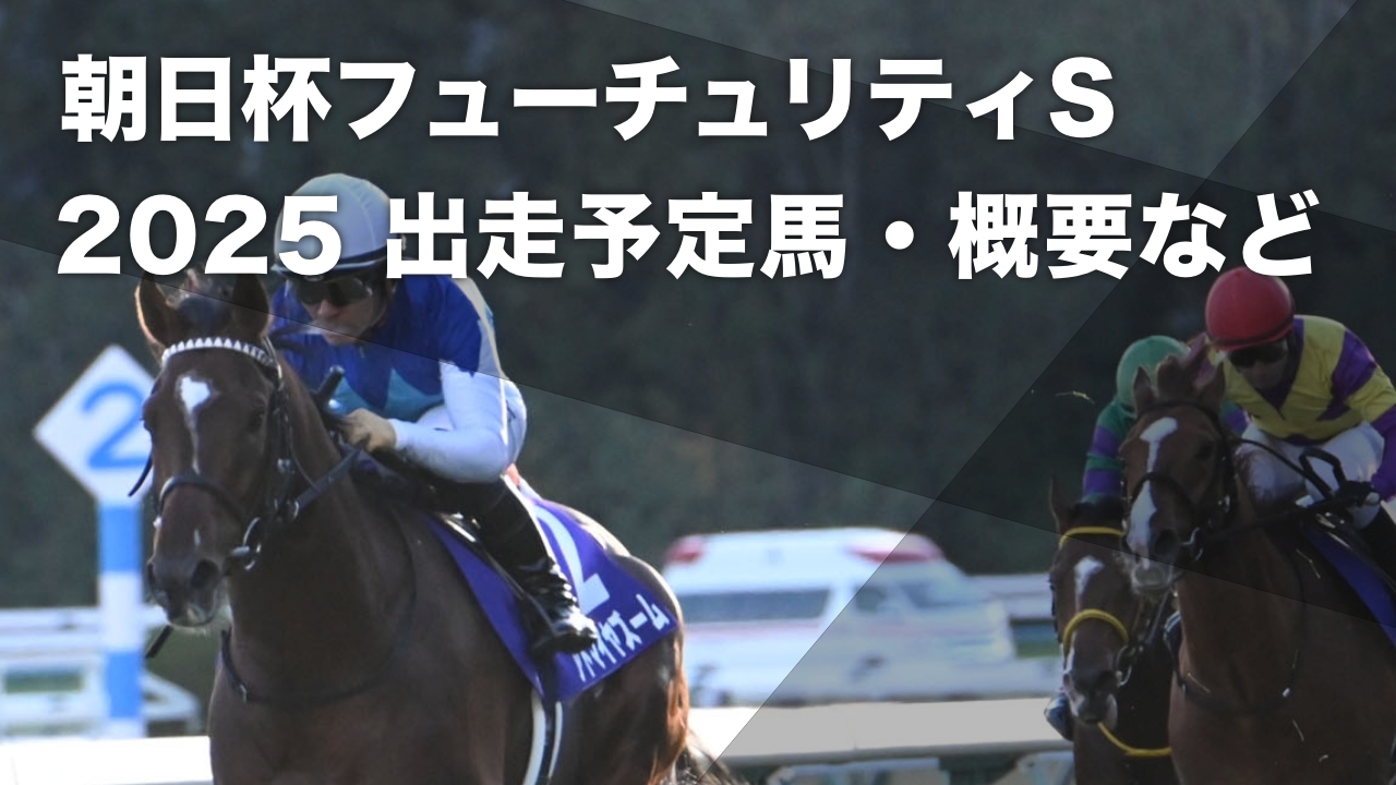 2024年朝日杯FSを勝利したアドマイヤズーム(c)netkeiba.com