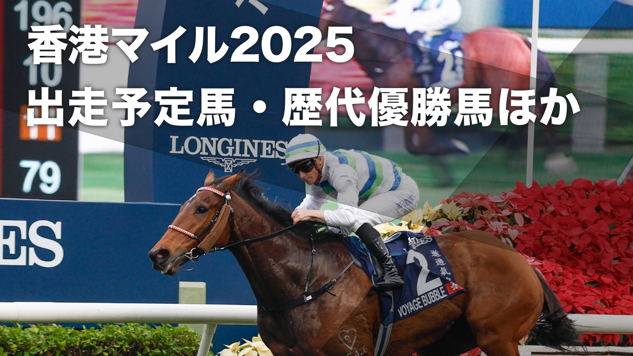 2024年の香港マイルを圧勝したカーインライジング(撮影：高橋正和)