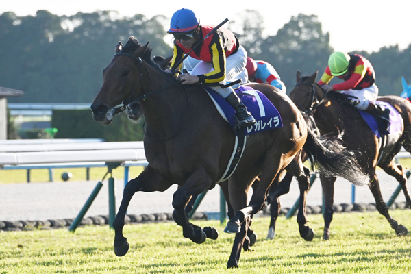 エリザベス女王杯を制したレガレイラ(c)netkeiba