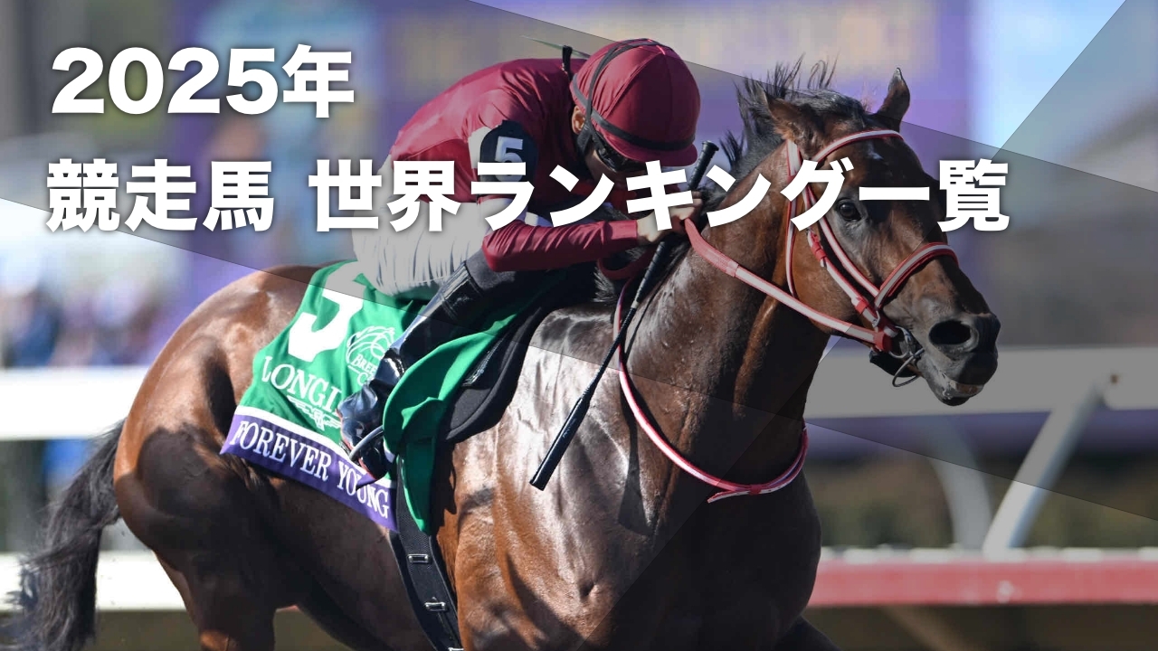 2025年BCクラシックを勝利したフォーエバーヤング(撮影：高橋正和)