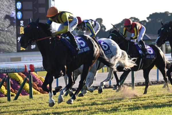 マイルCSを制したジャンタルマンタル(c)netkeiba