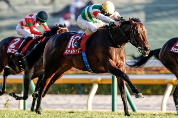 東スポ杯2歳Sを制したパントルナイーフ(撮影：下野雄規)