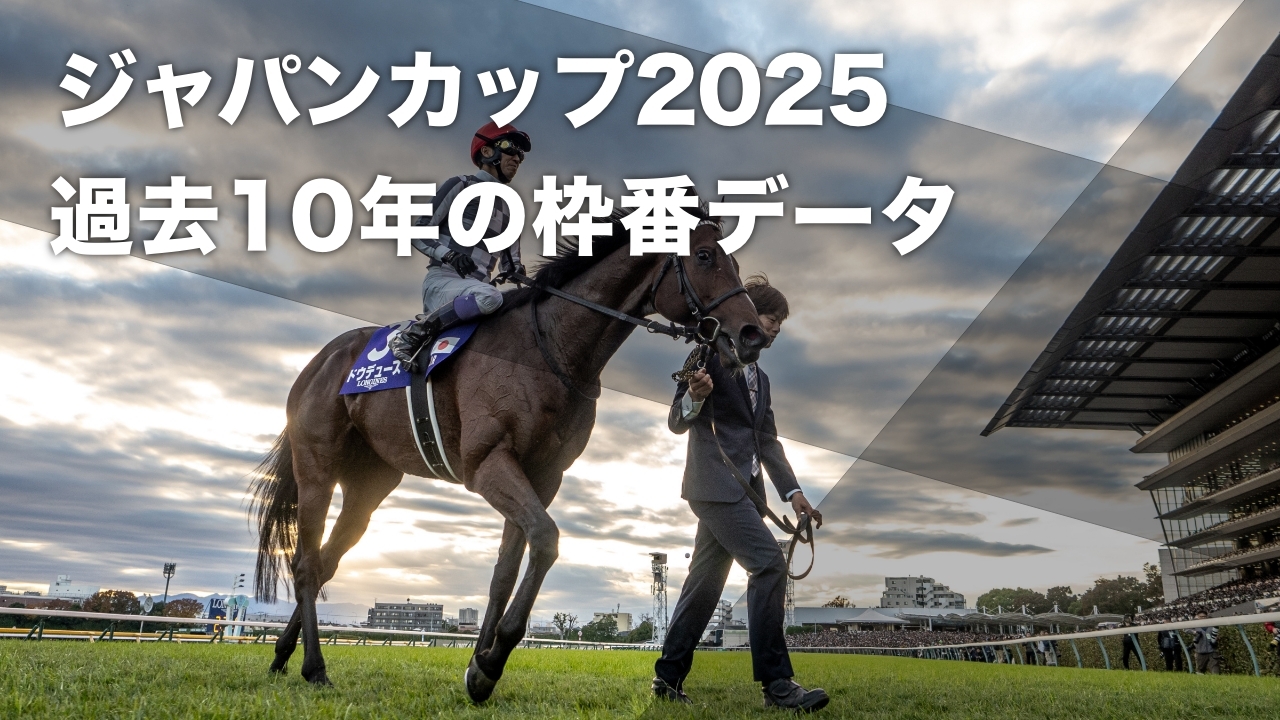 2024年のジャパンカップ覇者ドウデュース(撮影：下野雄規)