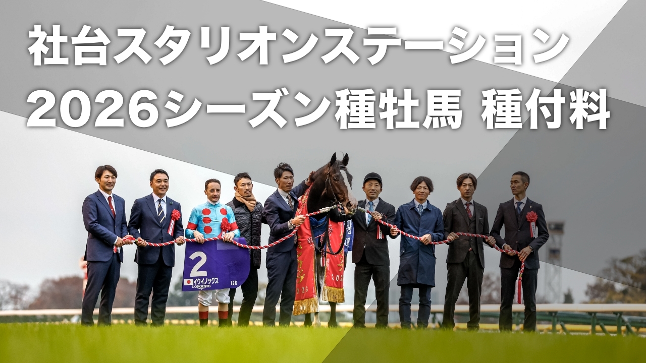 イクイノックス(撮影：下野雄規)