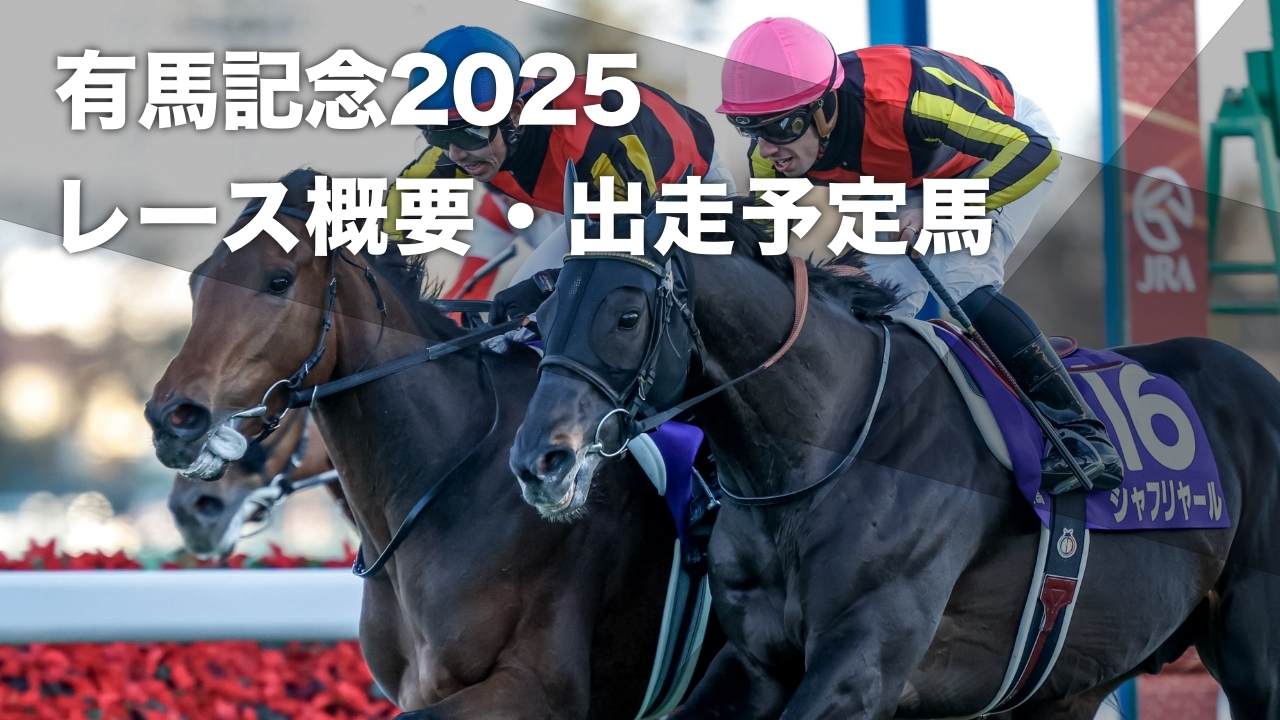 2024年の有馬記念ゴール前の様子(撮影：下野雄規)