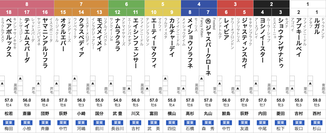 【京阪杯2025枠順発表】全18頭 ルガル1枠1番・武豊ナムラクララ6枠12番・レイピア3枠6番など最新情報【11月30日(日)16時15分】