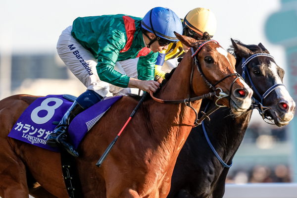 ジャパンCを制したカランダガン(撮影：下野雄規)