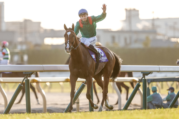 ジャパンカップ 歴代優勝馬・騎手一覧（過去G1結果）