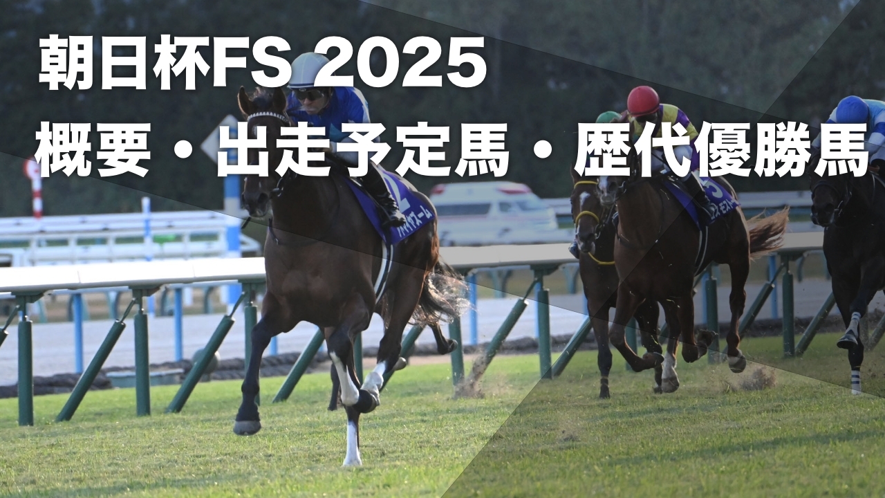 2024年朝日杯フューチュリティステークス覇者アドマイヤズーム(c)netkeiba.com