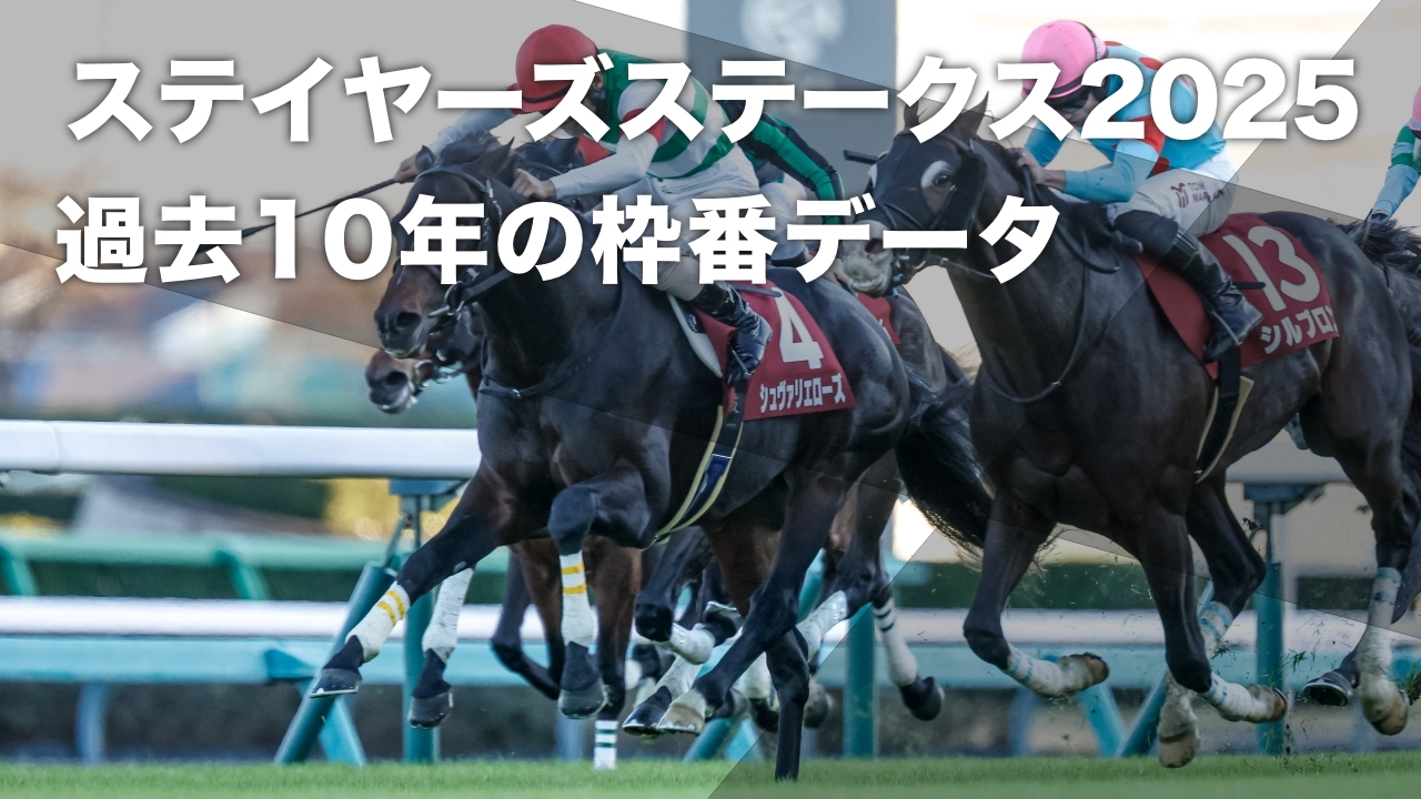 2024年のステイヤーズステークス覇者シュヴァリエローズ(撮影：下野雄規)