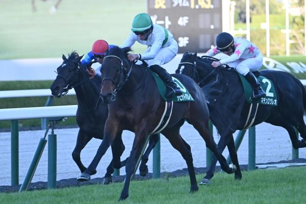 鳴尾記念を制したデビットバローズ(c)netkeiba