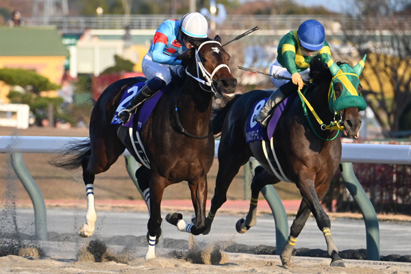 チャンピオンズCを制したダブルハートボンド(写真左)(c)netkeiba