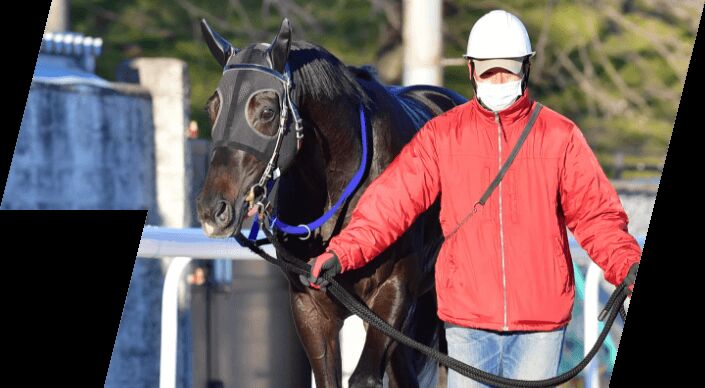 ライデンリーダー記念