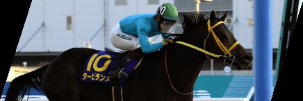 報知オールスターカップ